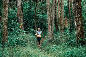 BIB: 
                            <button type="button" onclick="openModal(25238062)" class="btn btn-primary btn-sm float-right btn-popup" data-toggle="modal" data-target=".modal-high-quality">
                        <i class="fas fa-shopping-cart"></i> Add to Cart
                    </button>
                                            <button type="button" onclick="isThisMe(25238062, true)" class="btn btn-success btn-sm float-right btn-popup btn-isme hidden" data-toggle="tooltip" data-placement="bottom" title="นี่คือรูปของคุณใช่ไหม คลิกที่นี่เพื่อเอาเข้าอัลบั้ม">
                        <i class="fas fa-plus"></i> Add to album
                    </button>
                    <button type="button" onclick="isThisMe(25238062, false)" class="btn btn-warning btn-sm float-right btn-popup btn-isnotme hidden">
                        <i class="fas fa-ban"></i> Remove from album
                    </button>